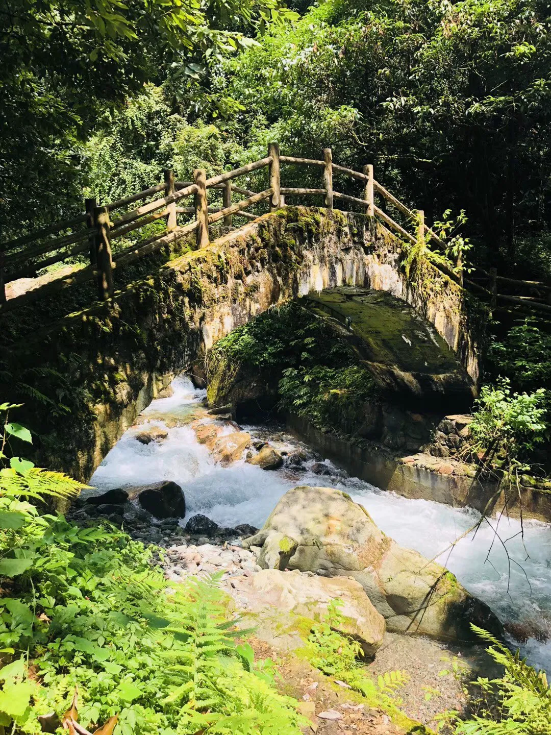 权威数读|这组数据,带你了解铁路春运售票情况